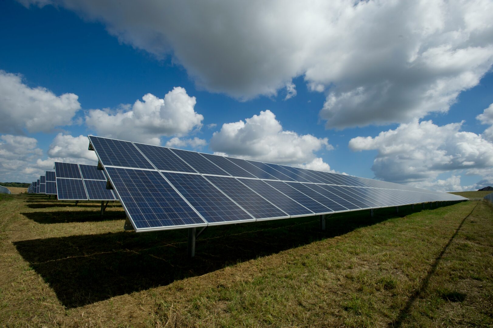 solar panels in field